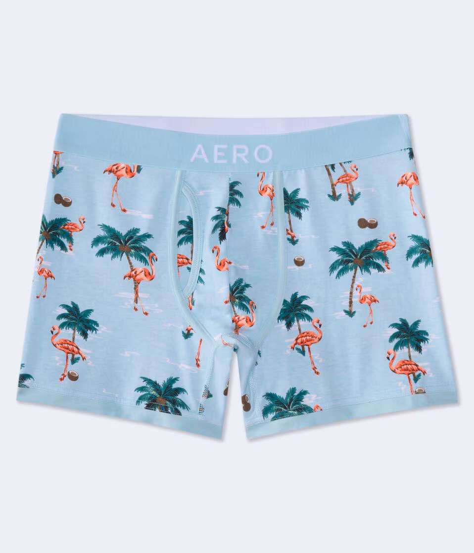 Flamingo Palms 4.5" Boxer Brief